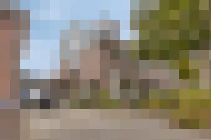 Jongkindt Coninckstraat 14 Alphen aan den Rijn thumbnail 5