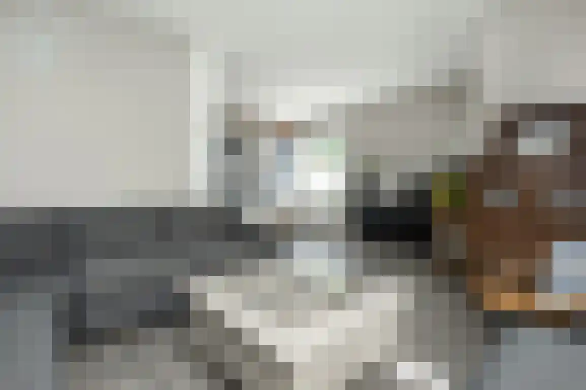 Jongkoenstraat 21 Goedereede thumbnail 10