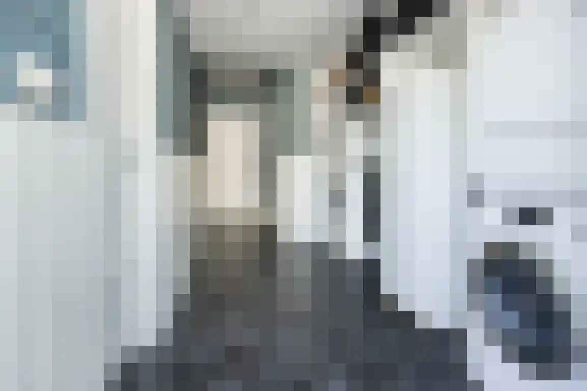 Jongkoenstraat 21 Goedereede thumbnail 16