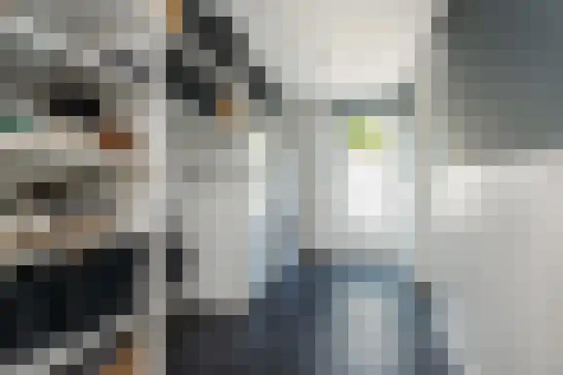 Jongkoenstraat 21 Goedereede thumbnail 18