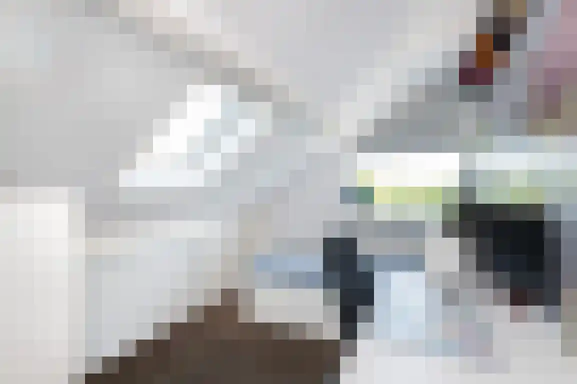 Jongkoenstraat 21 Goedereede thumbnail 33