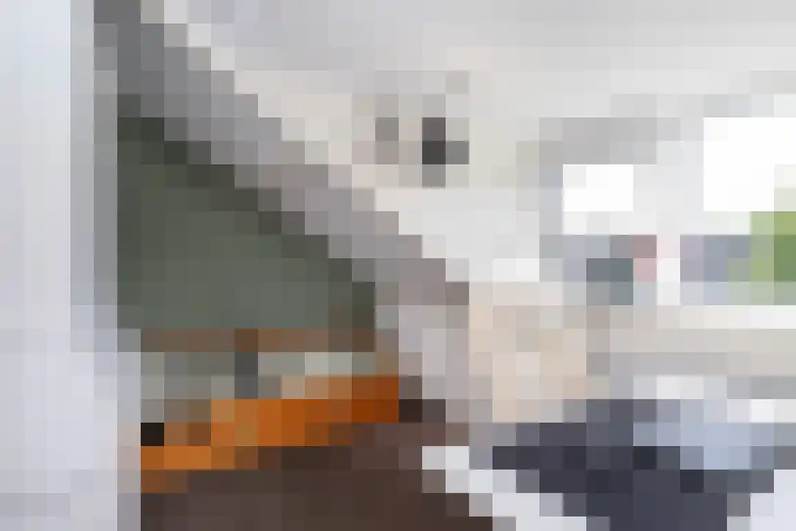 Jongkoenstraat 21 Goedereede thumbnail 35