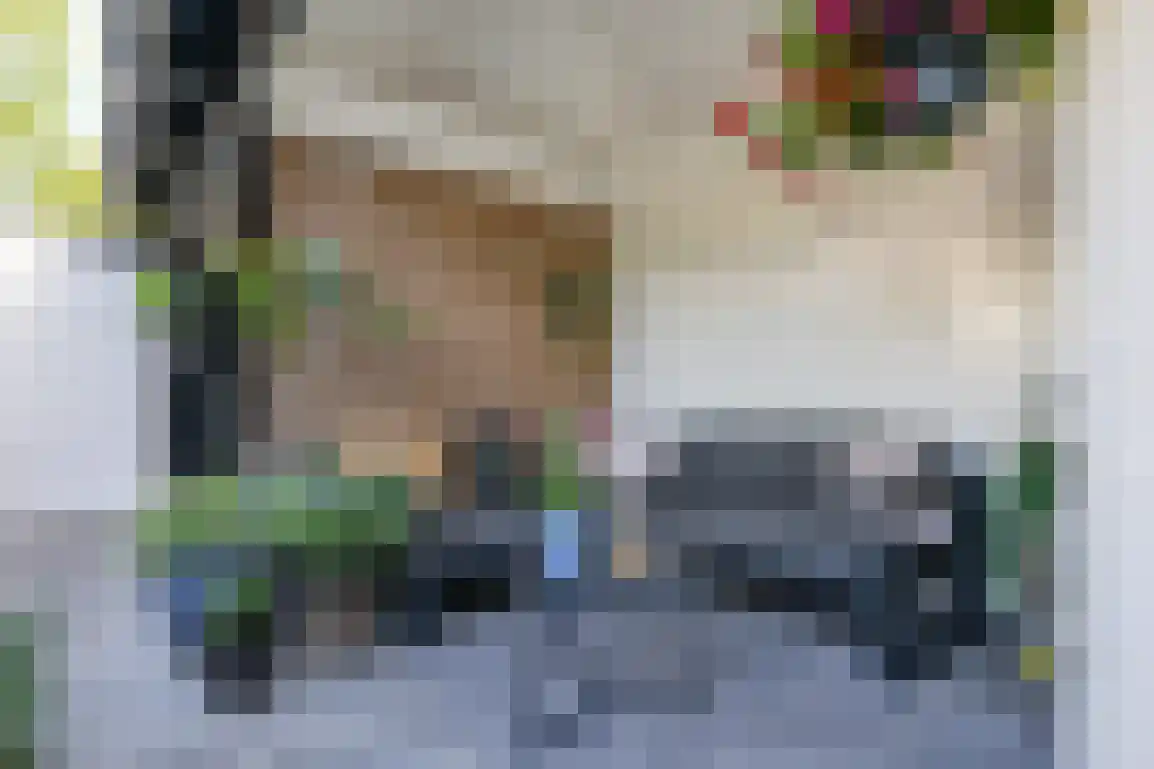 Jongkoenstraat 21 Goedereede thumbnail 40