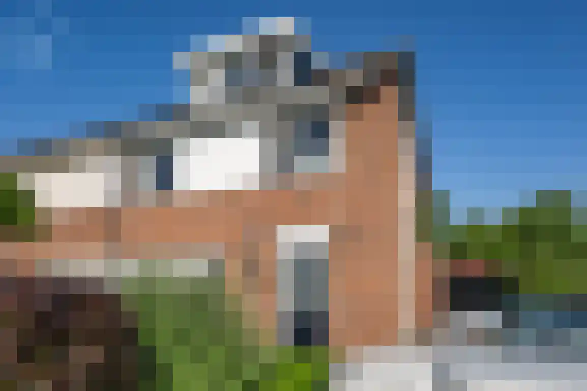 Jongkoenstraat 21 Goedereede thumbnail 42