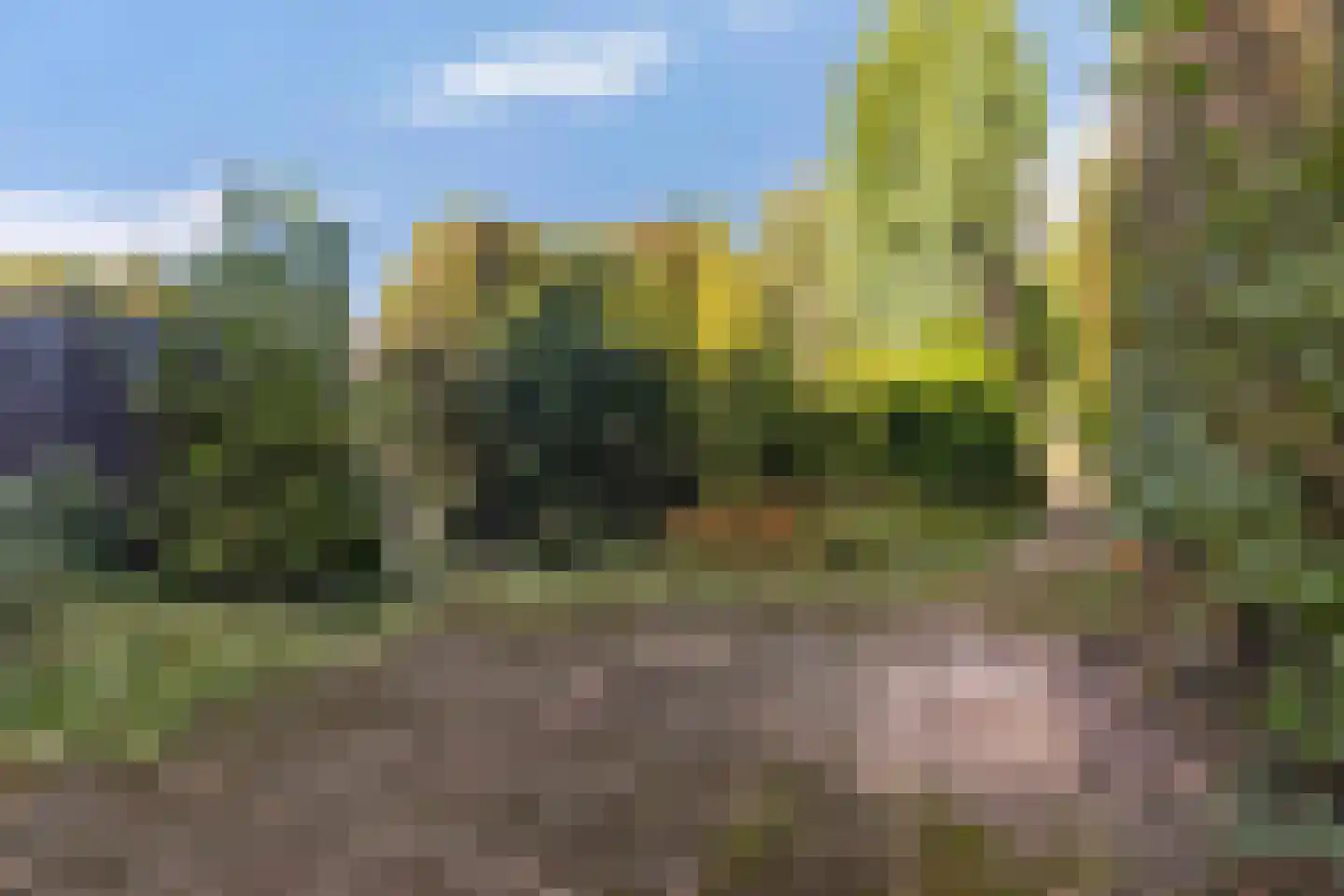 Jongmansweg 31 A Heerlen thumbnail 11