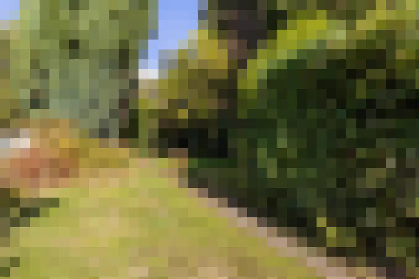 Jongmansweg 31 A Heerlen thumbnail 13