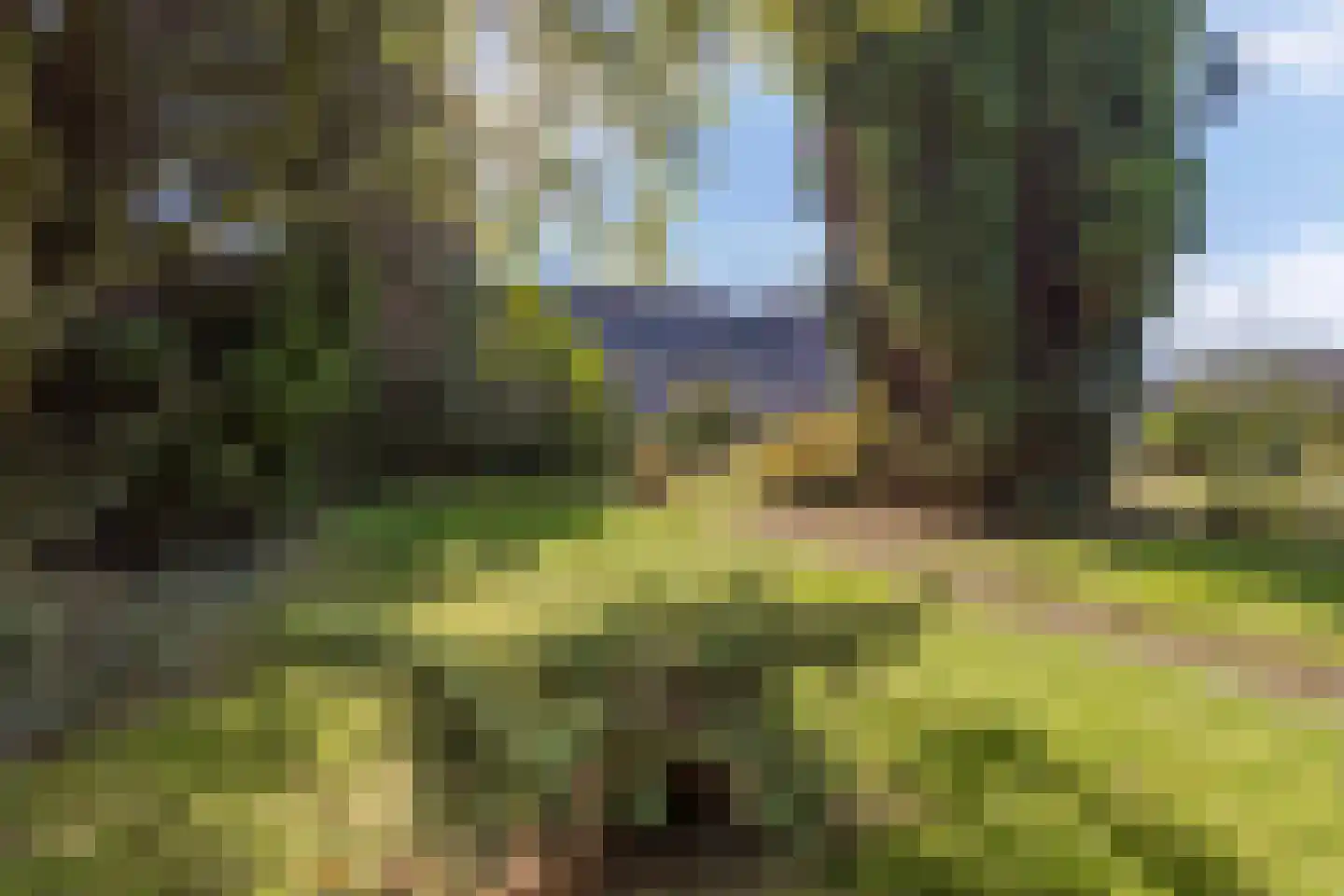 Jongmansweg 31 A Heerlen thumbnail 14