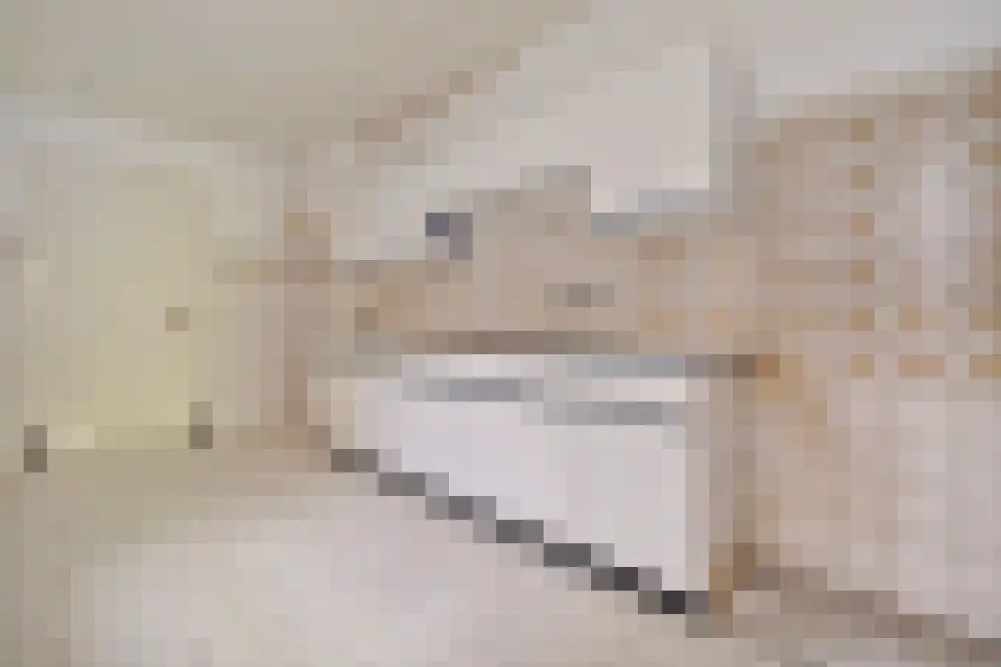 Jongmansweg 31 A Heerlen thumbnail 8