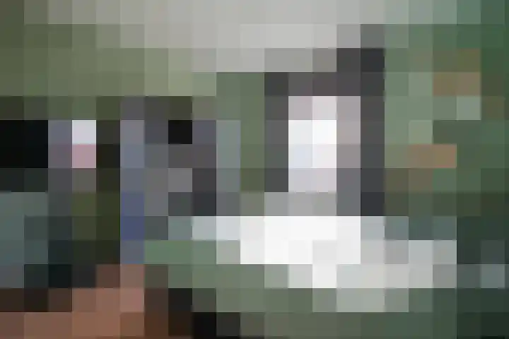 Jongmansweg 36 Heerlen thumbnail 12
