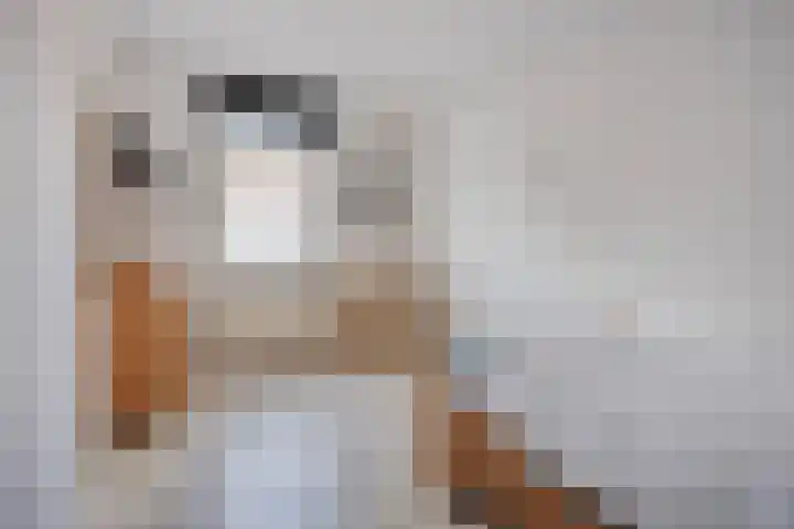 Jongmansweg 40 Heerlen thumbnail 12