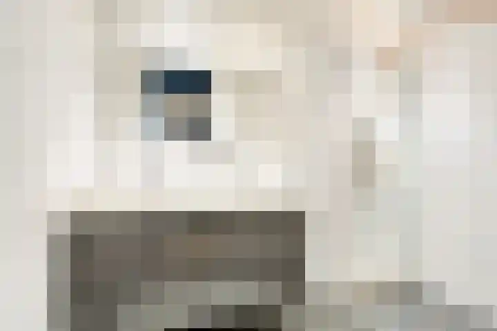 Jongmansweg 40 Heerlen thumbnail 5
