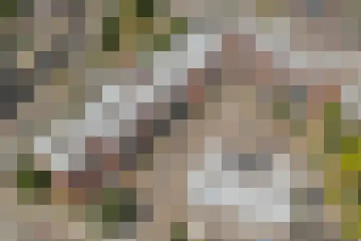 Jongmansweg 46 Heerlen thumbnail 27