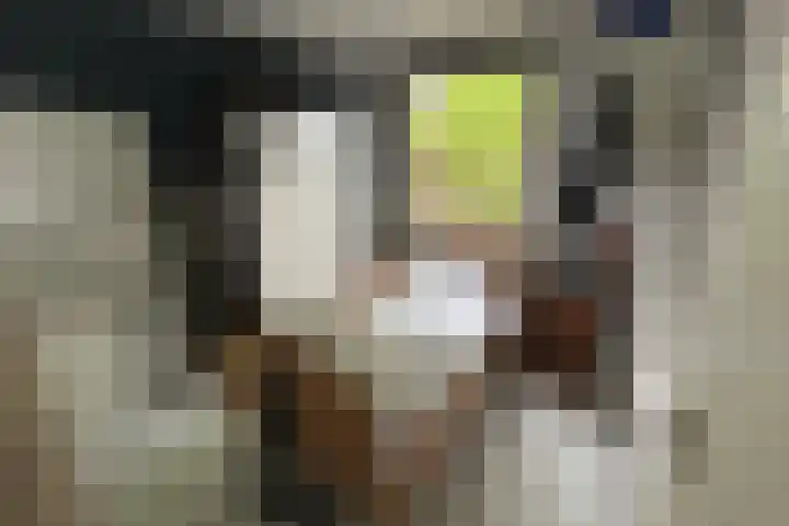 Jongmansweg 47 Heerlen thumbnail 19