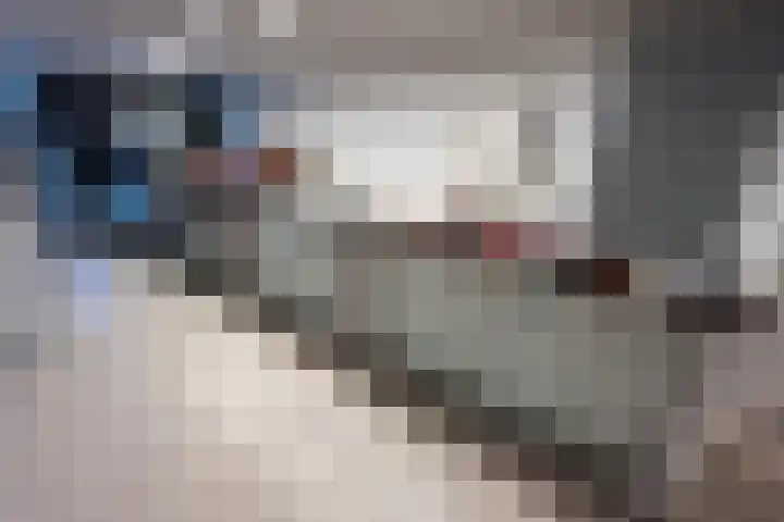 Jongmansweg 47 Heerlen thumbnail 5