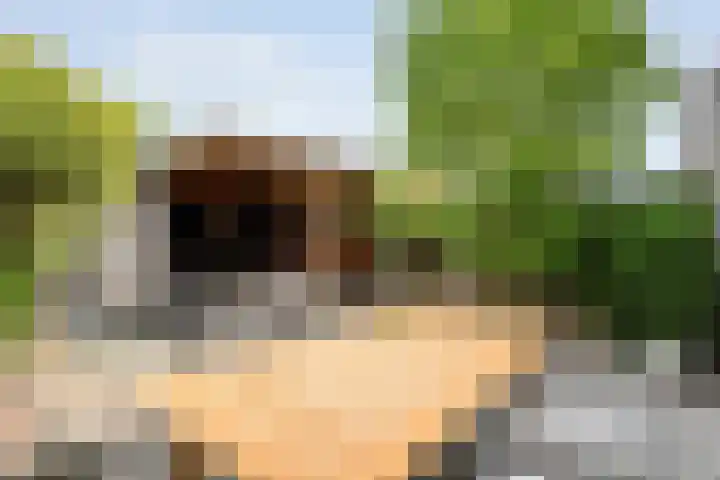 Jongsmalaan 13 Hardenberg thumbnail 28