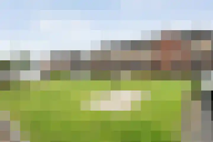 Jongsmalaan 13 Hardenberg thumbnail 33