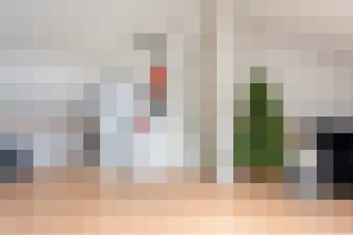 Jongsmalaan 19 Hardenberg thumbnail 24