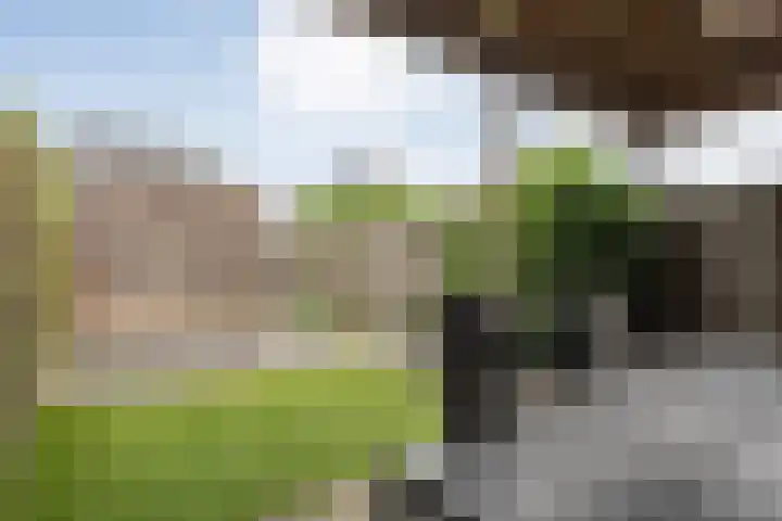 Jongsmalaan 19 Hardenberg thumbnail 26