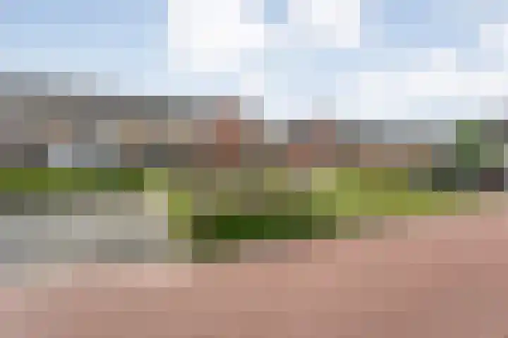 Jongsmalaan 19 Hardenberg thumbnail 31