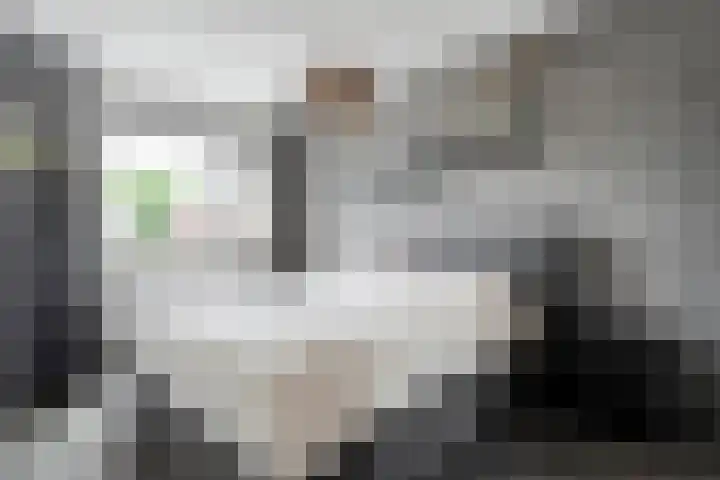Jongsmalaan 32 Hardenberg thumbnail 22