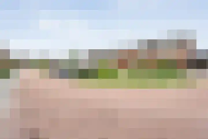 Jongsmalaan 32 Hardenberg thumbnail 5
