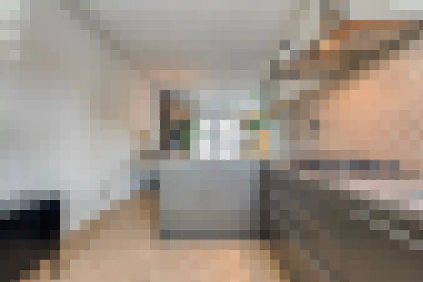 Jongsmalaan 5 Hardenberg thumbnail 10