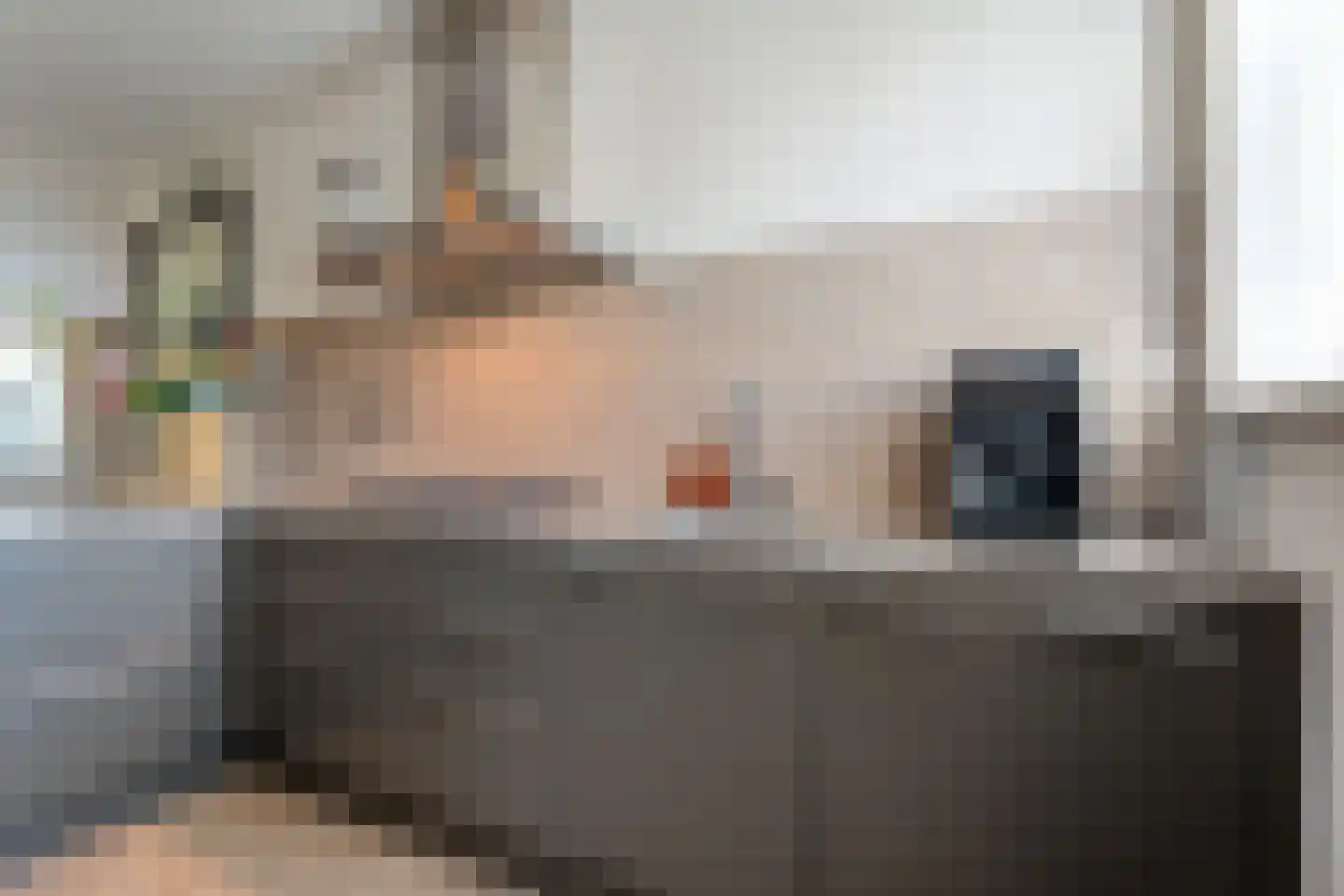 Jongsmalaan 5 Hardenberg thumbnail 11