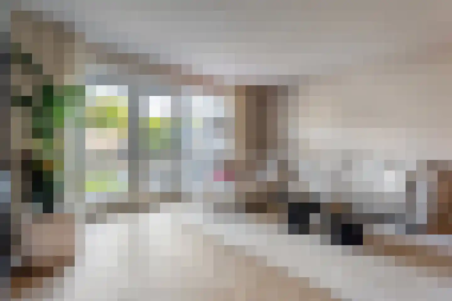 Jongsmalaan 5 Hardenberg thumbnail 12