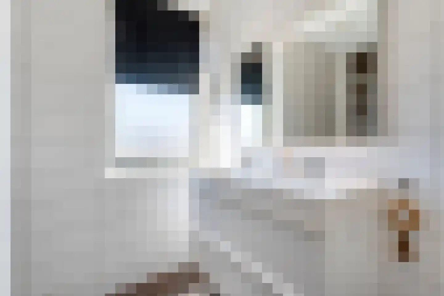Jongsmalaan 5 Hardenberg thumbnail 22