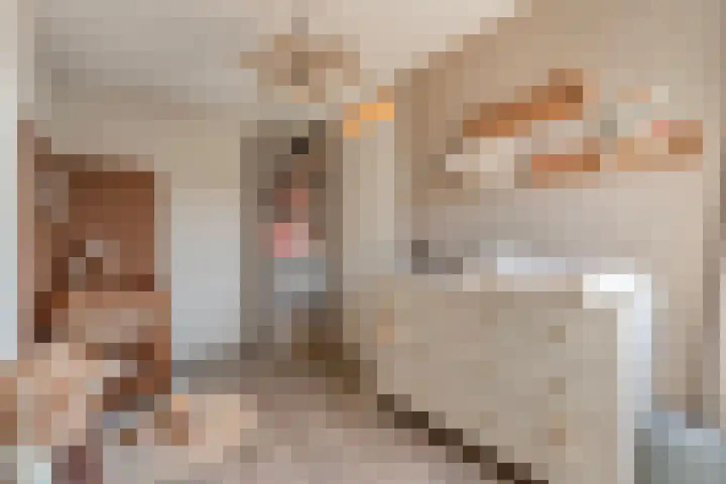 Jongsmalaan 5 Hardenberg thumbnail 25