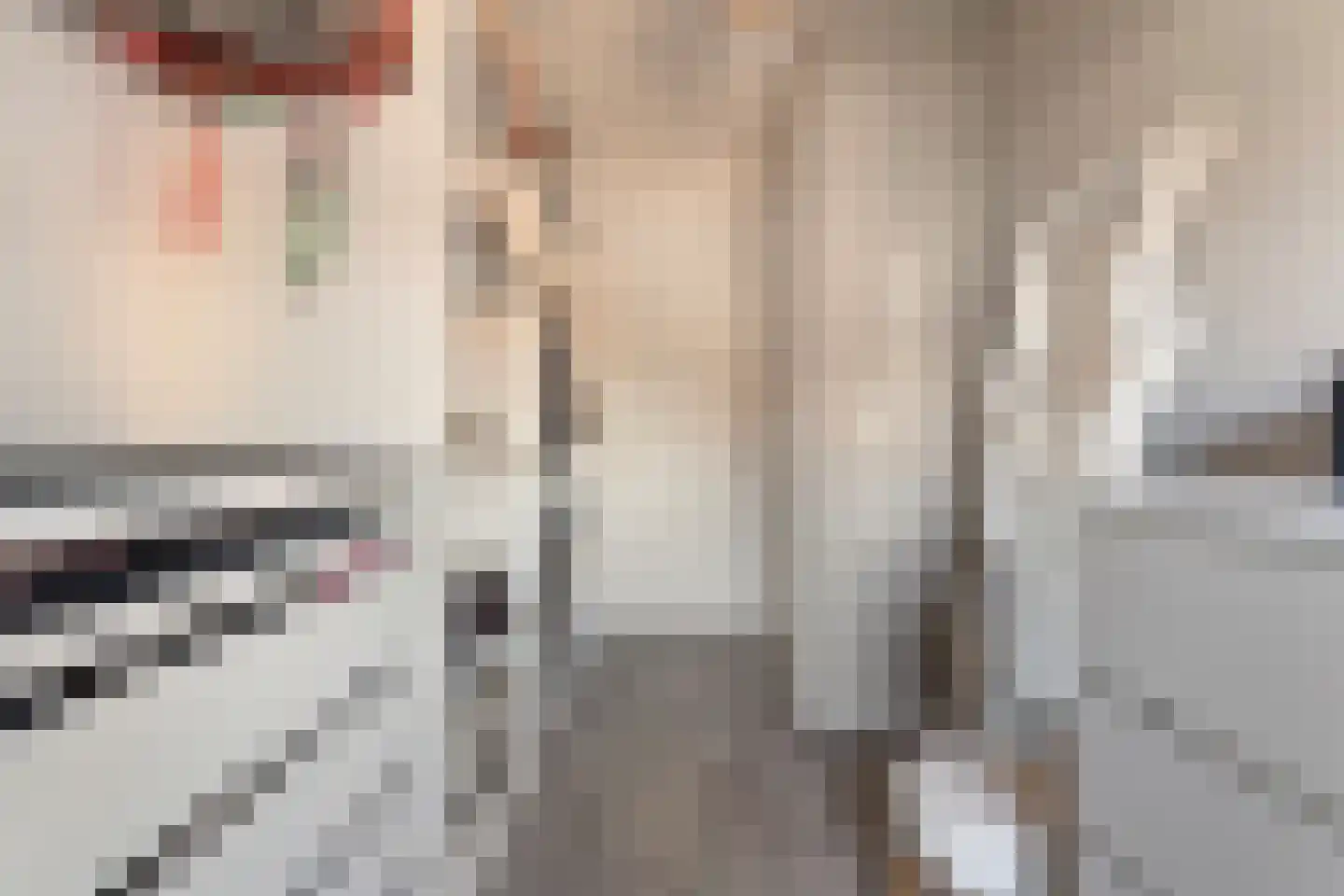 Jongsmalaan 5 Hardenberg thumbnail 27