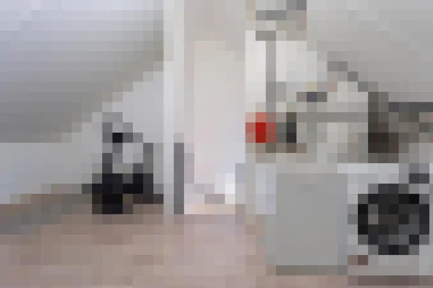 Jongsmalaan 5 Hardenberg thumbnail 31