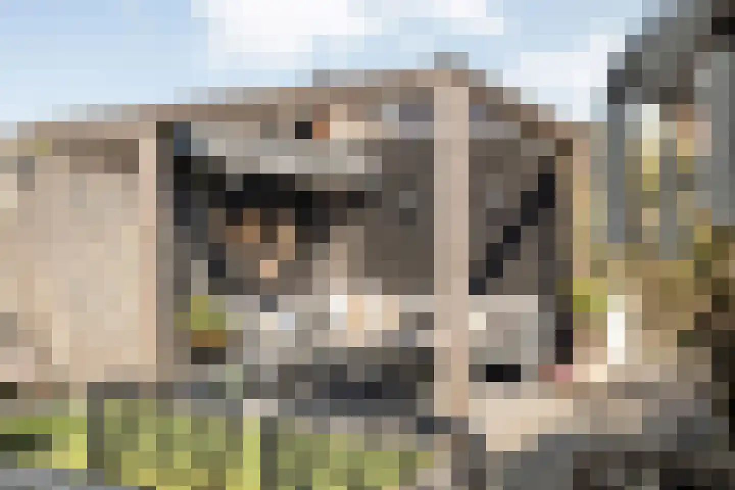 Jongsmalaan 5 Hardenberg thumbnail 35