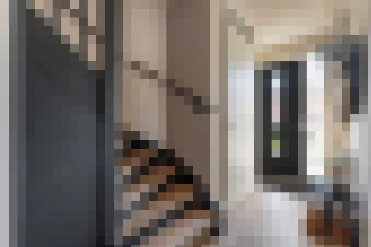 Jongsmalaan 5 Hardenberg thumbnail 5