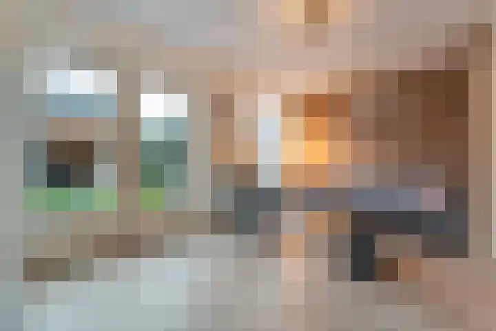 Jongsmalaan 8 Hardenberg thumbnail 11