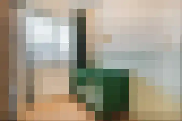 Jongsmalaan 8 Hardenberg thumbnail 17