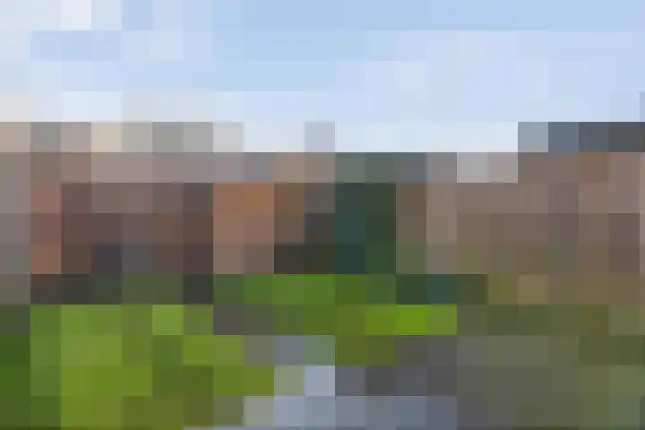Jongsmalaan 8 Hardenberg thumbnail 29