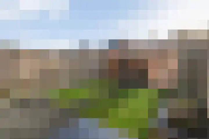 Jongsmalaan 8 Hardenberg thumbnail 30