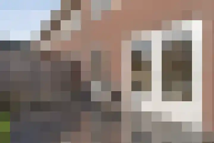 Jongsmalaan 8 Hardenberg thumbnail 31