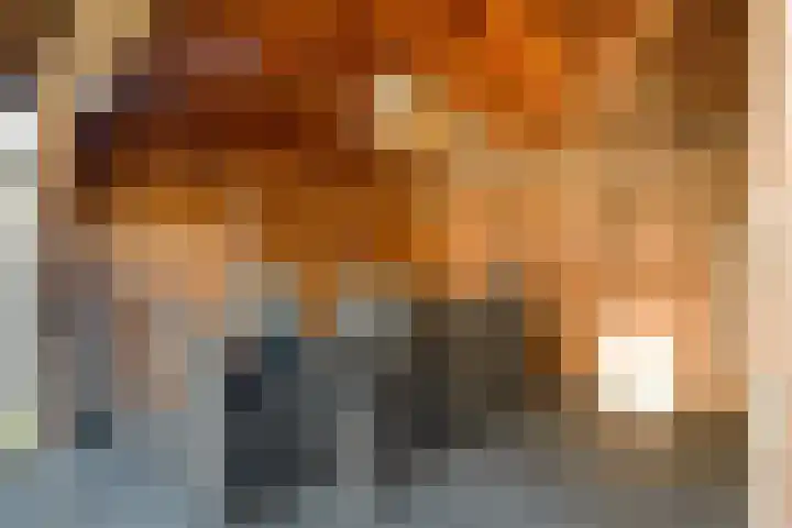Jongsmalaan 8 Hardenberg thumbnail 33