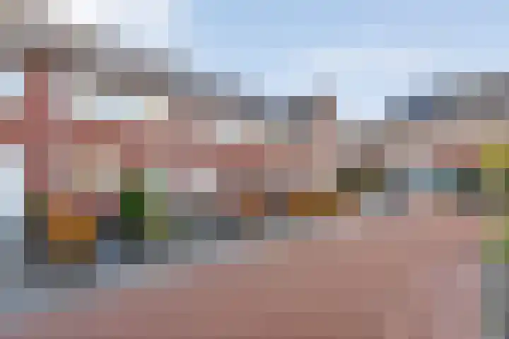Jongsmalaan 8 Hardenberg thumbnail 37