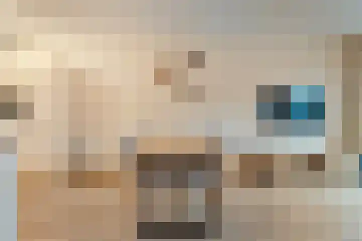 Jongsmalaan 8 Hardenberg thumbnail 5