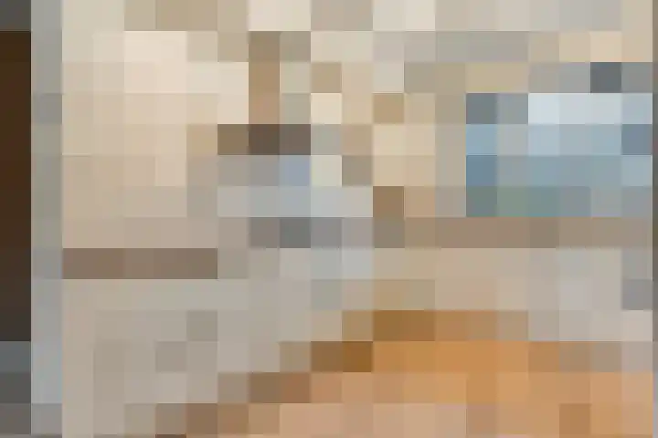 Jongsmalaan 8 Hardenberg thumbnail 7