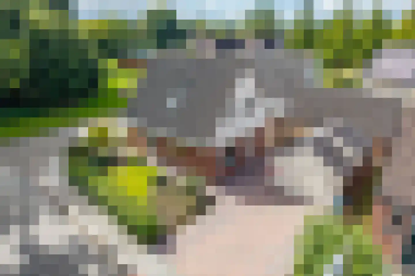 Jonker 11 Spijk thumbnail 12