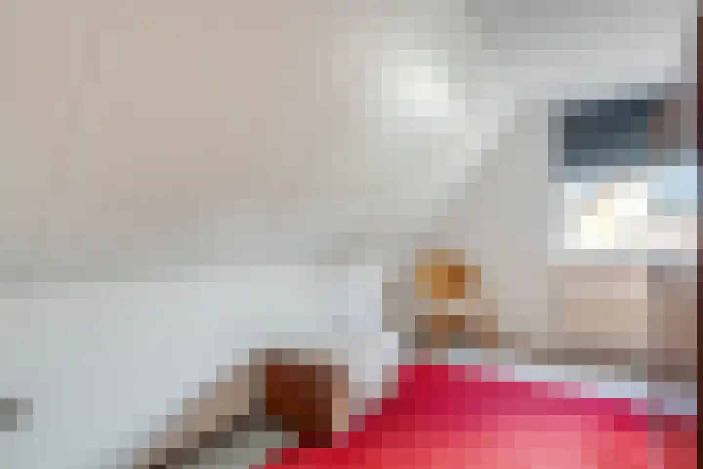 Jonker 11 Spijk thumbnail 33