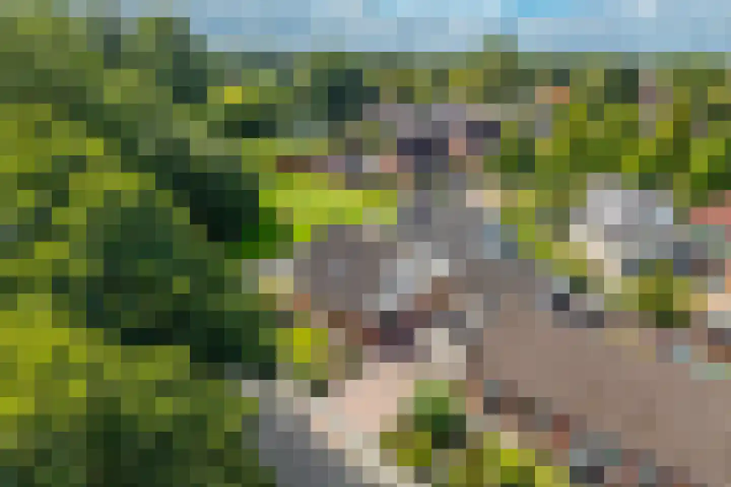 Jonker 11 Spijk thumbnail 4