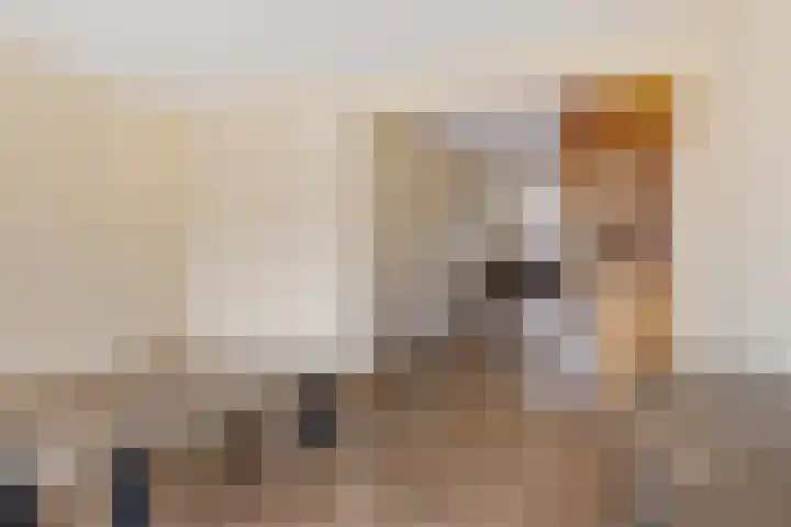 Jonker 20 Spijk thumbnail 17