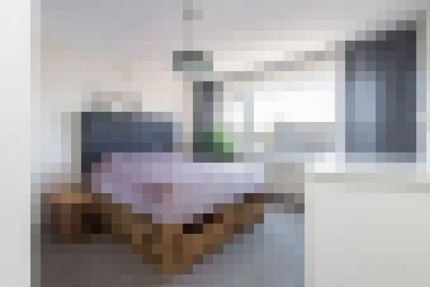 Jonker Aartendam 1 Brakel thumbnail 16