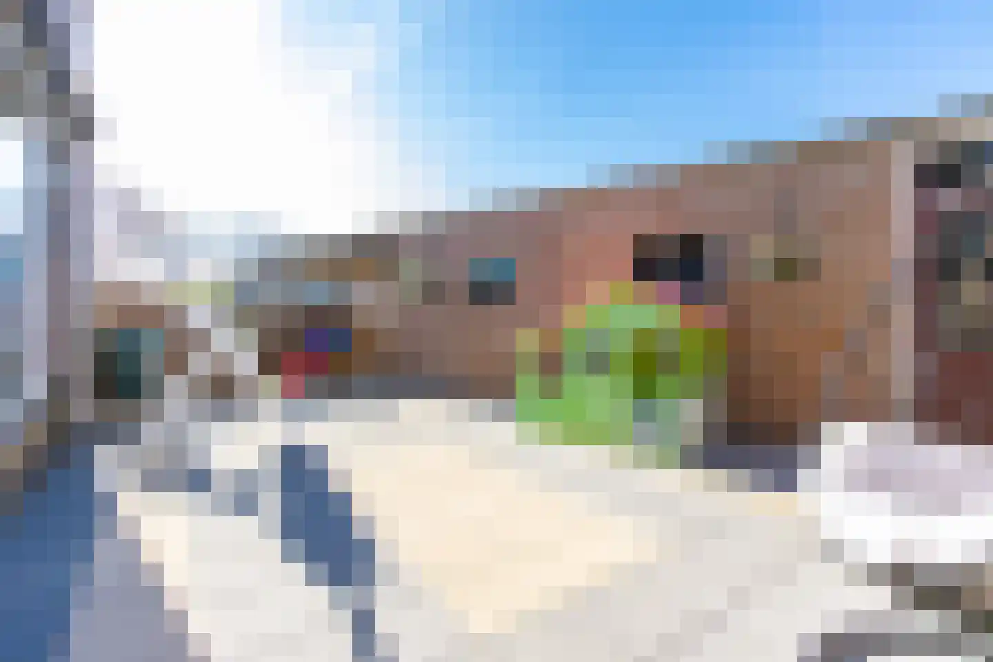 Jonker Aartendam 1 Brakel thumbnail 28