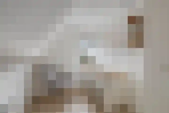 Jonker Aartendam 12 Brakel thumbnail 39